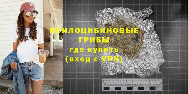 бошки Сатка