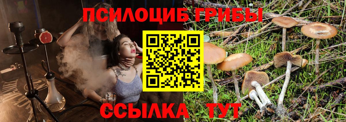 Галлюциногенные грибы Magic Shrooms Среднеуральск