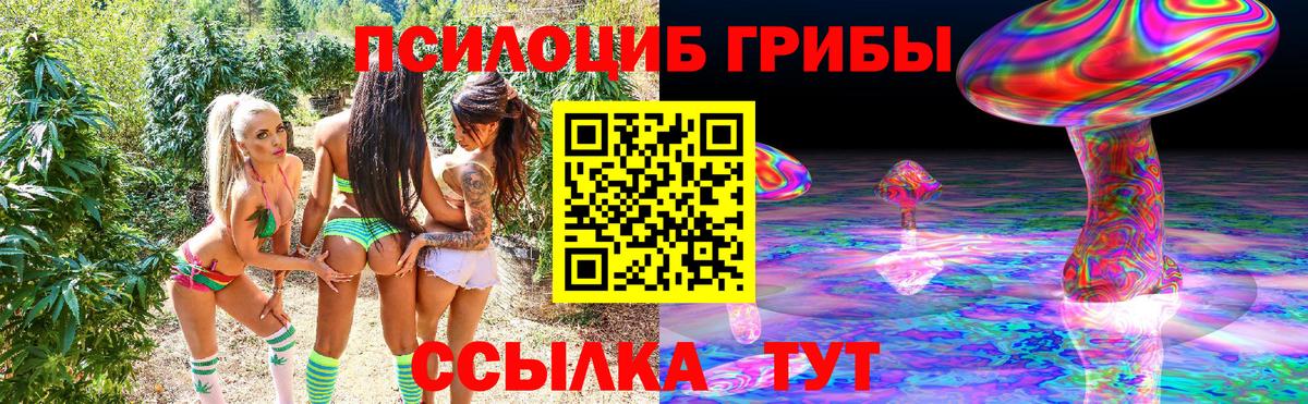 Псилоцибиновые грибы мицелий  Вход с VPN  Среднеуральск 